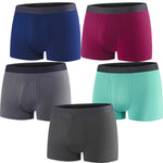 5 Pack Premium Bamboo Fiber Men's Briefs, Men's Boxers